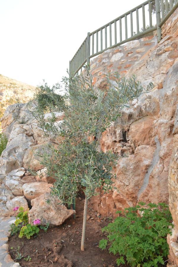 Delfinaki Boutique Apartments Lionas Beach ,Naxos Esterno foto